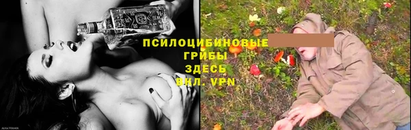 стаф Абинск
