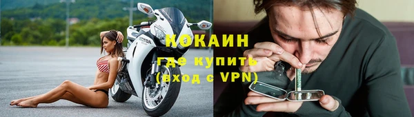 стаф Абинск