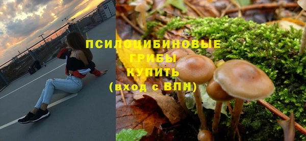 стаф Абинск