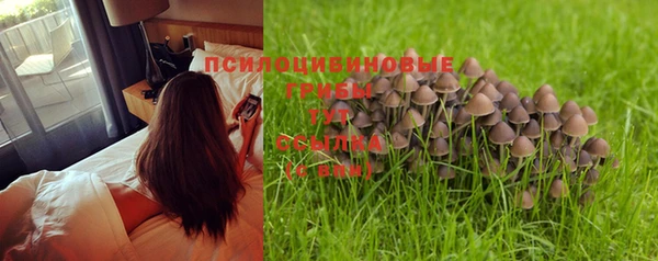 стаф Абинск