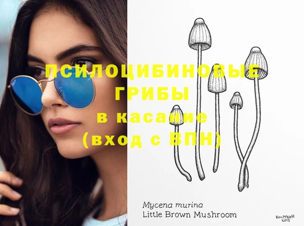 соль ск Абаза