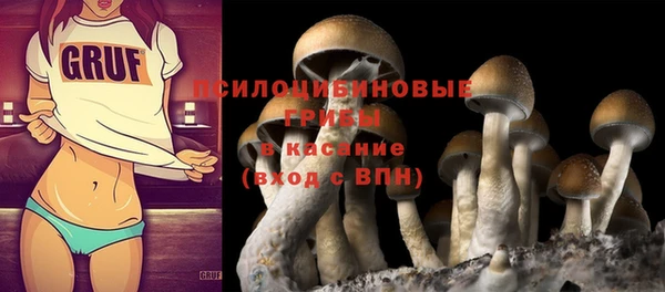 стафф Семилуки