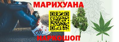 гидра Волгодонск