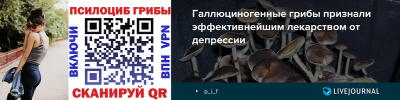 Галлюциногенные грибы GOLDEN TEACHER  Зерноград 