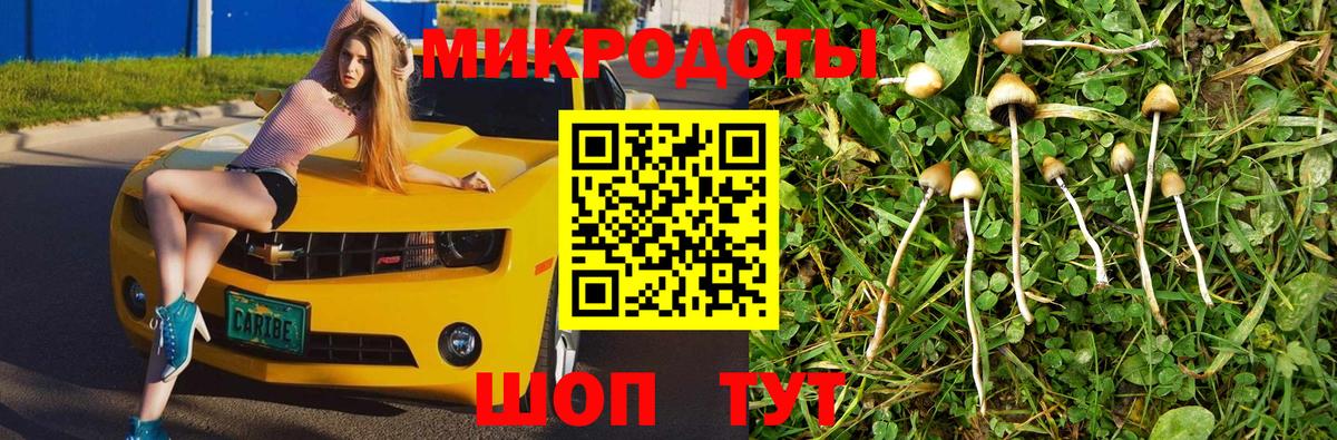 Псилоцибиновые грибы мицелий  Вход с VPN  Зерноград 