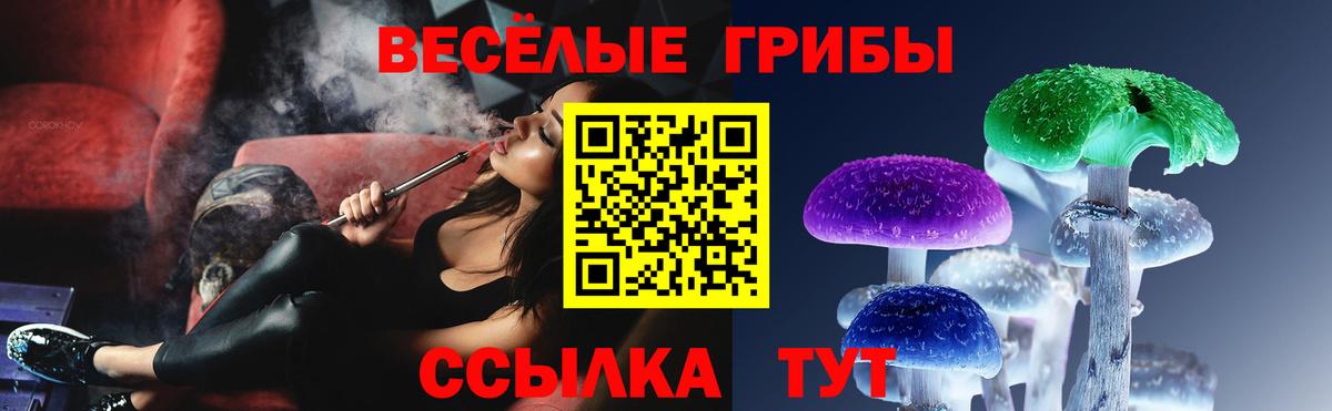 Псилоцибиновые грибы Psilocybine cubensis Зерноград